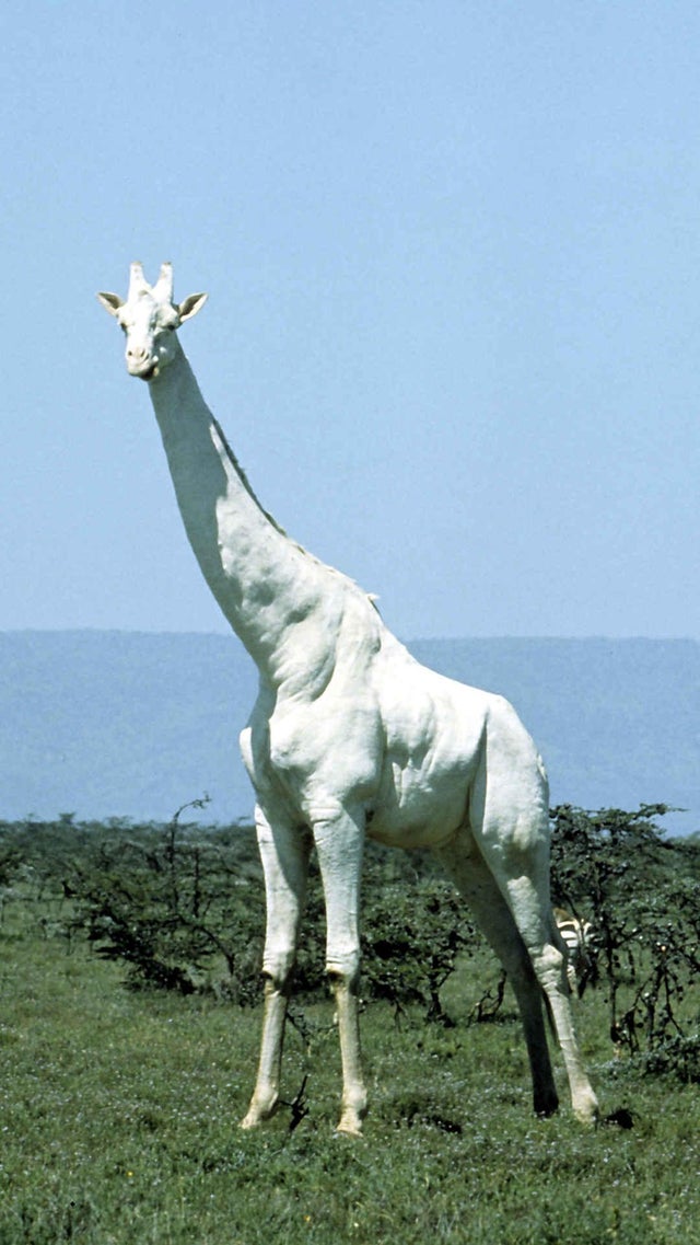 50张活久未见的上色老照片,30张活久未见的照片