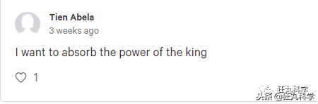 木乃伊泡水里吗,木乃伊泡水喝