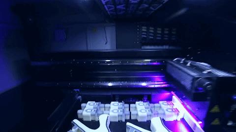 狗狗的前腿断了的特征,狗狗天生前腿畸形还能治么