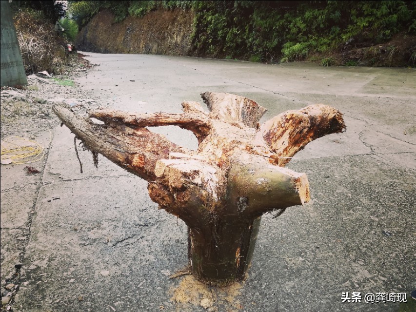 闲着也是闲着，做一张根雕茶桌，没事的时候喝喝茶