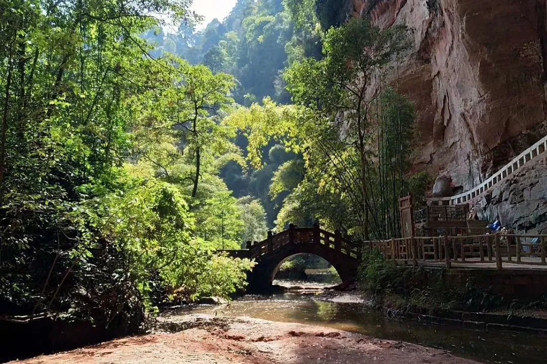 沐川竹海看雪,沐川竹海游玩视频