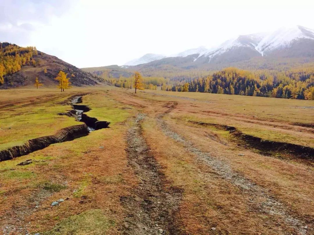 抖音做完酒店,又开始做旅行社“*梦春**”