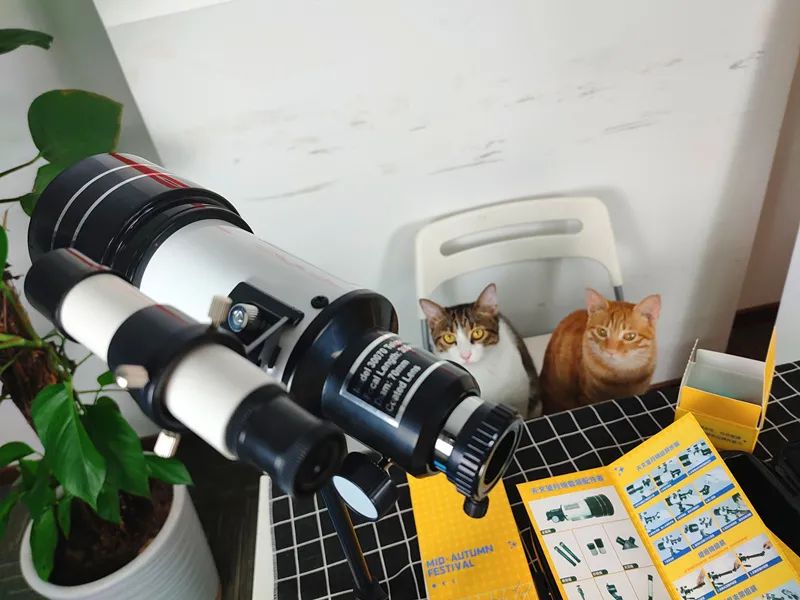 2019互联网大厂中秋礼盒,各互联网公司中秋礼盒