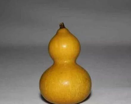 文玩葫芦瘪了怎么回事,文玩葫芦发霉了