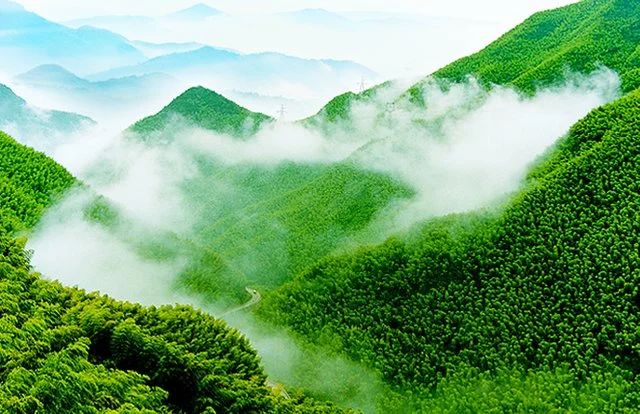 安吉城堡酒店主题房间,安吉带小孩子玩的度假酒店