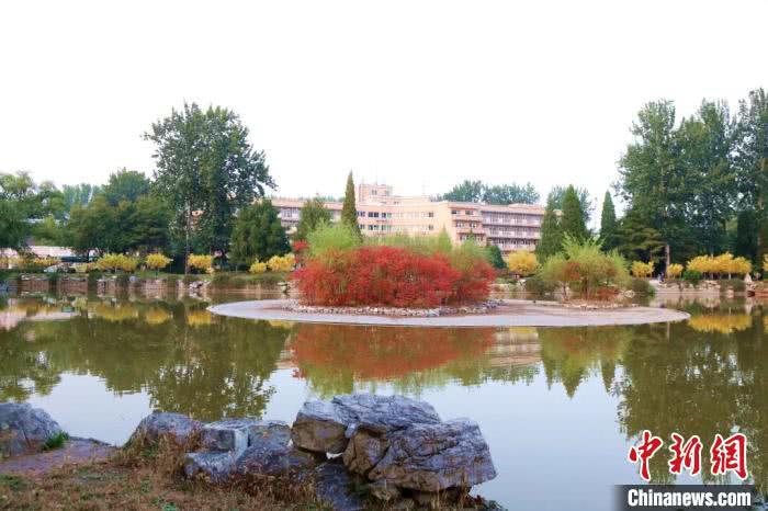 2011年北京散文获奖者,2008中国散文学会会员名单