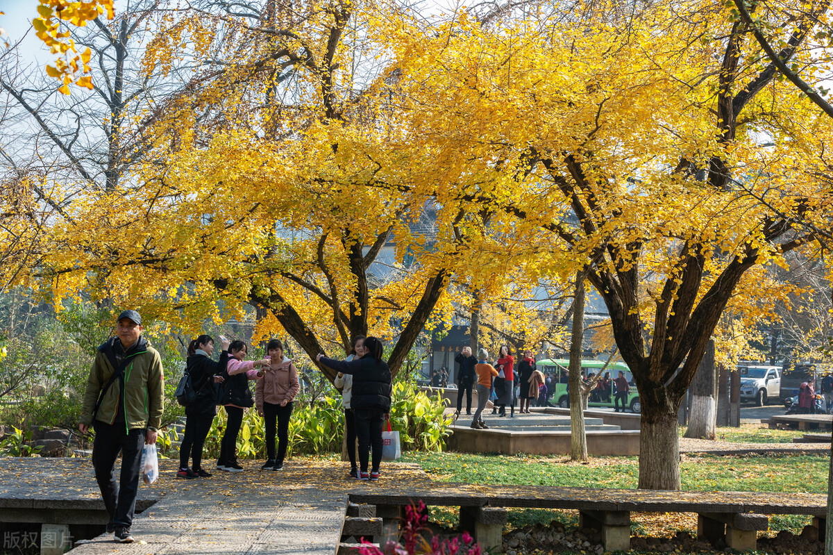 浙江是一座很棒的城市,浙江一个江南古镇