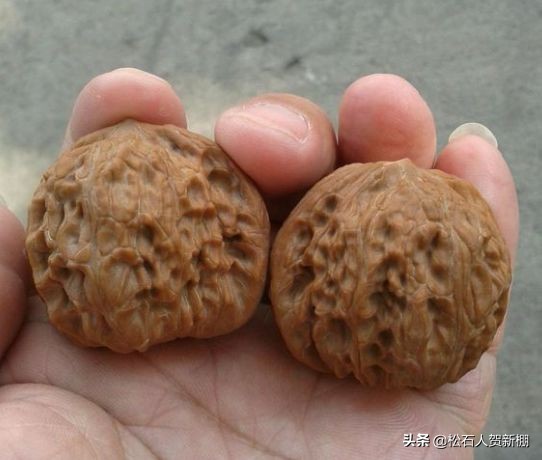 核桃树上的核桃可以盘吗,便宜的核桃能盘出效果吗