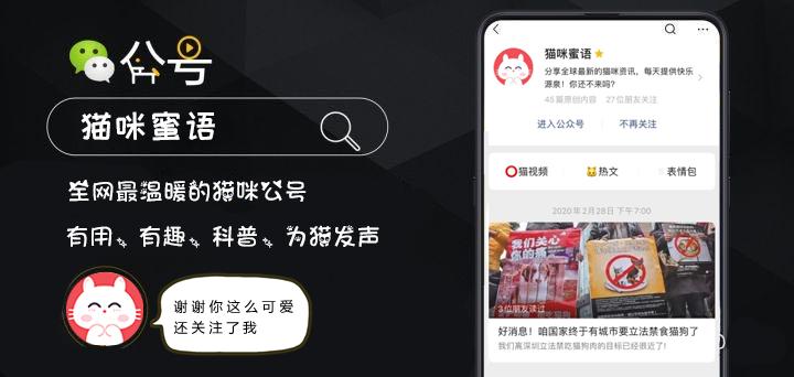 让它们啪啪啪才残忍？猫咪交配的小秘密