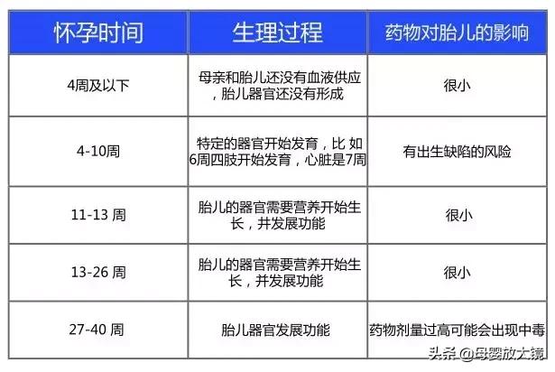 一张图了解孕期,一图看懂孕期食物