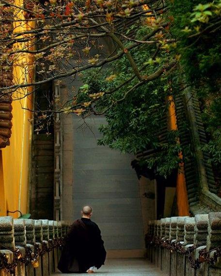 从九华山下到地藏王菩萨殿的路线,地藏王到九华山故事