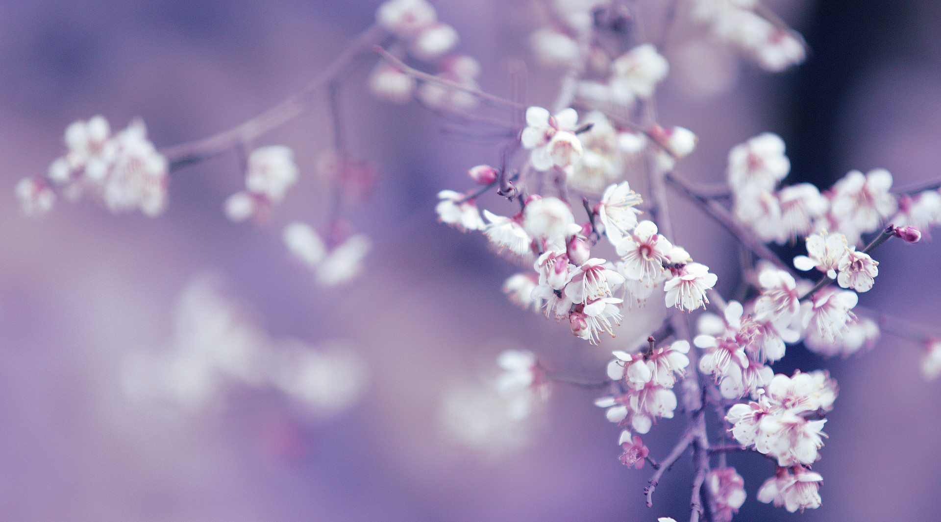 感情淡了如何升温,让对方冷静下来感情会变淡