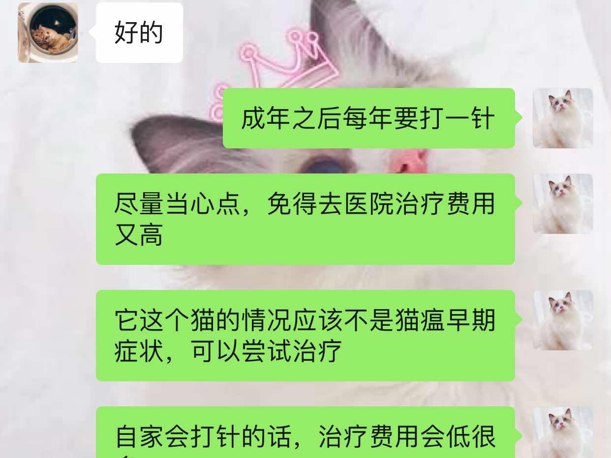 猫瘟导致眼睛变绿,谈猫色变