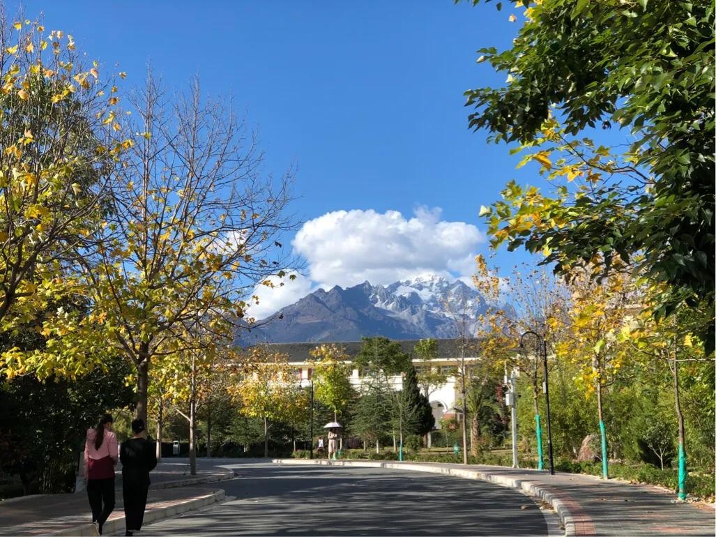 丽江新闻大事件,关于丽江的故事100字