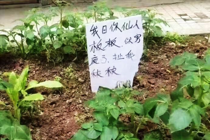 全国最搞笑的省,中国最搞笑的十大省份