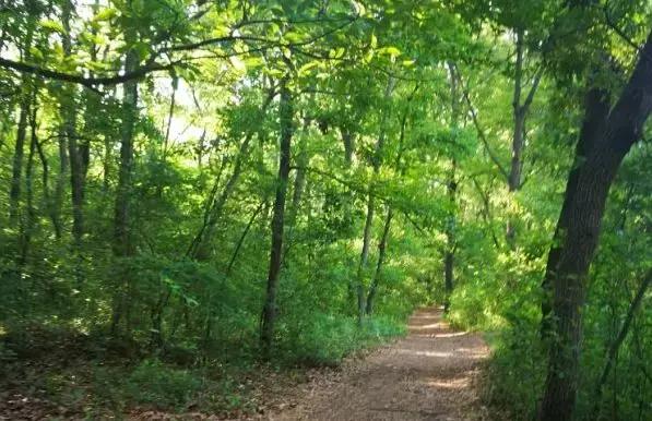 淮南舜山比赛,淮南舜耕山自行车越野