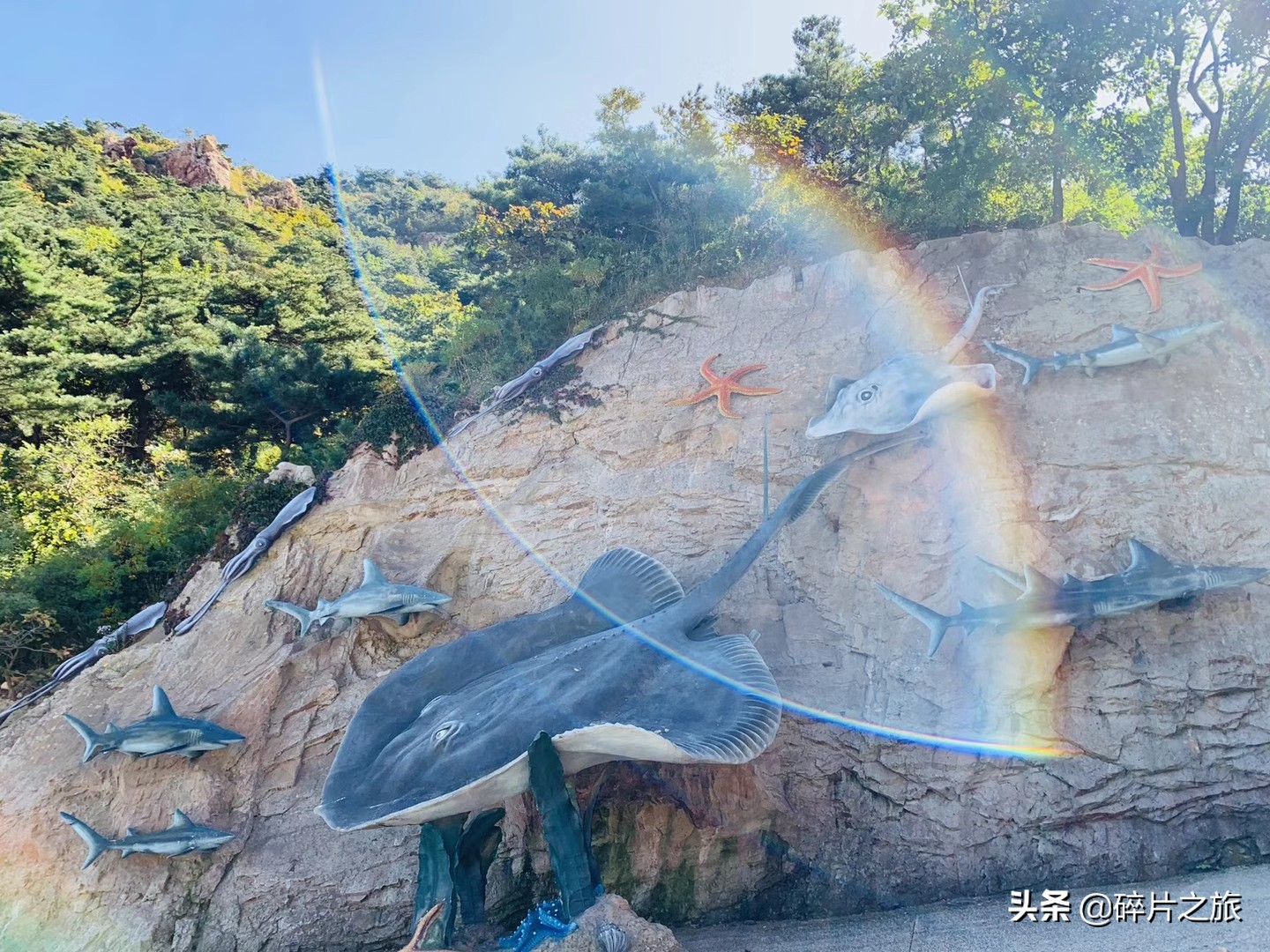 海滨城市大连旅游必备攻略,美丽的海滨城市大连星海广场