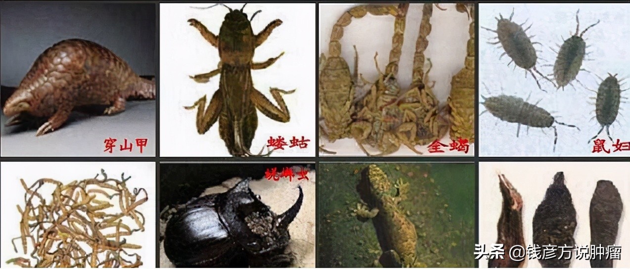 15公分大的肝肿瘤,增加到18公分,但是却战胜了肿瘤,为什么?