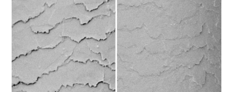 日本滋润头发防脱发的洗发水,日本洗发水头发干枯毛躁