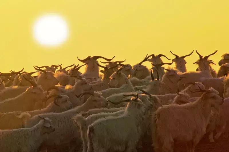 国家认证！*疆新**又一城市成为“中国天然氧吧”，大自然“空调房”就在……