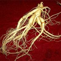 秦伯未治疗八法,秦伯未讲内经