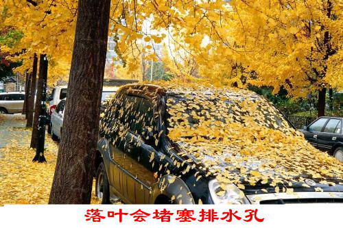 汽车后备箱排水孔堵塞位置图,汽车排水孔堵塞会有什么后果