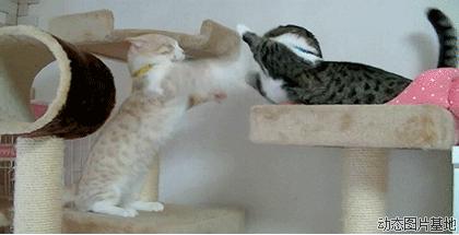 收到一封诋毁妻子的信,代购的深刻反省