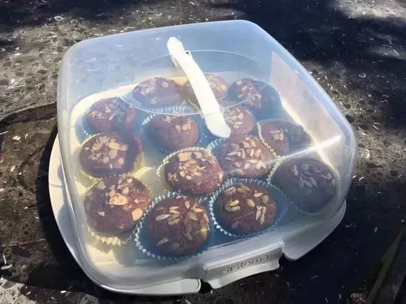 南极圈大事件,在南极圈我们做了什么