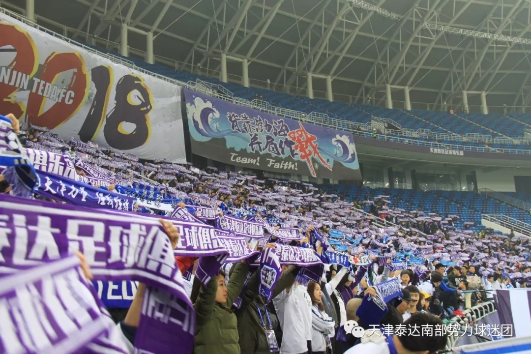 天津泰达二十年纪录片,泰达的这两年