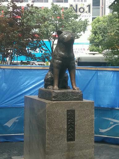 东京7日游跟团,东京七日六晚自由行