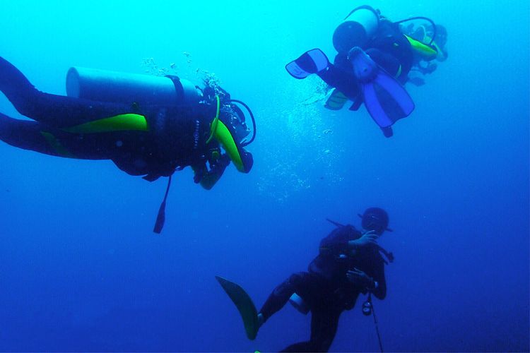 畅游粉红色的梦幻仙境·提克豪岛