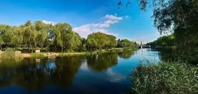 大局已定创业路何去何从,杨浦区的发展趋势