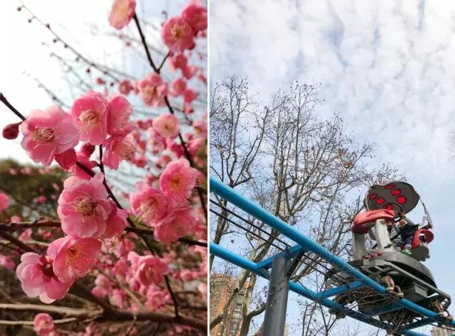 大局已定创业路何去何从,杨浦区的发展趋势