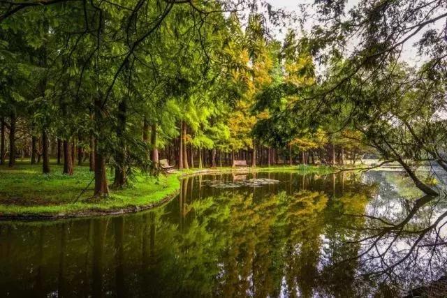 上海杨浦区最新发展规划,大局已定未来五年咋样