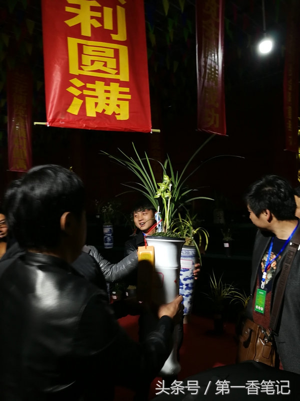 2018年昆明兰花展精品图片,云南兰花展作品欣赏