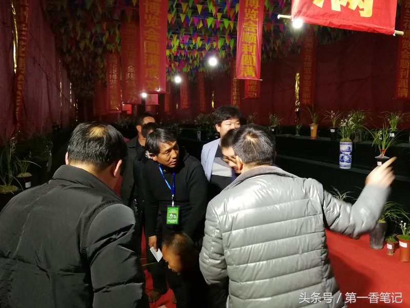 2020年云南兰花展获奖图片,2018年昆明兰花展精品图片