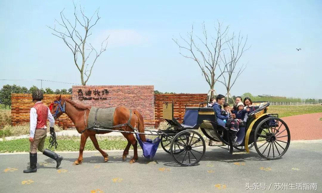 苏州金鸡湖景区门票多少钱,苏州香雪海景区门票多少钱