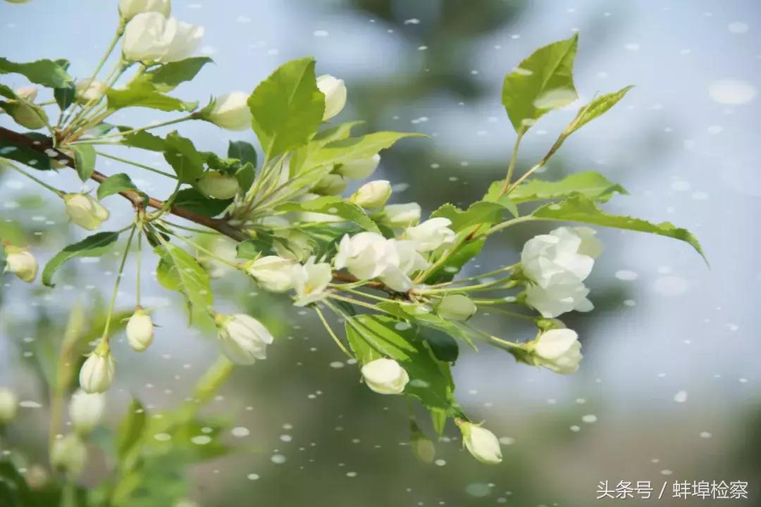 中国文化常识语文学霸必备,考文史常识