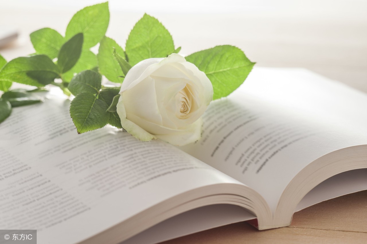 工作生活常识大全,在工作中的10个小技巧