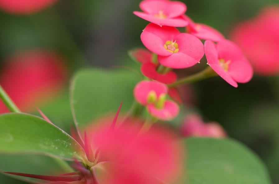 人生哪怕再穷也要活的实实在在,即使是粗茶淡饭也能岁月静好