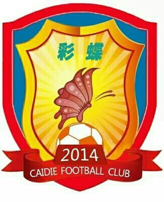 滨州蝴蝶乒乓球,滨州彩蝶