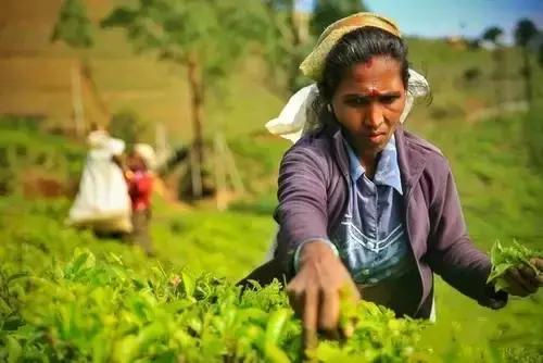 不用签证又不贵的旅游国家,无需签证小众旅游国家