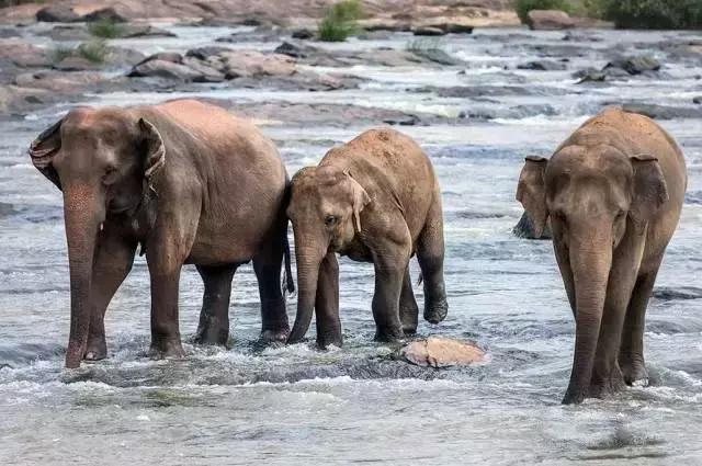 不用签证又不贵的旅游国家,无需签证小众旅游国家