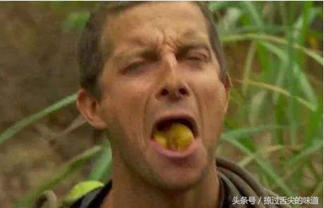 皮蛋瘦肉粥皮蛋可以不煮吗,皮蛋有毒吗是怎样做的