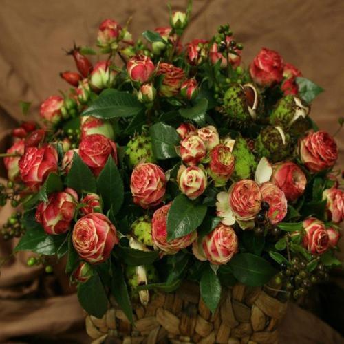 自己种的玫瑰花怎么没有花店的好,如何养花店买的玫瑰花