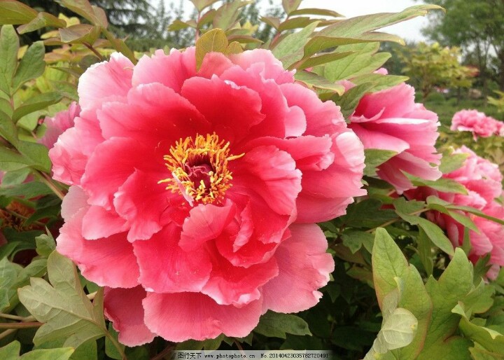 今天29，打开就能幸福久久！幸福相册！请收下给你的祝福哦