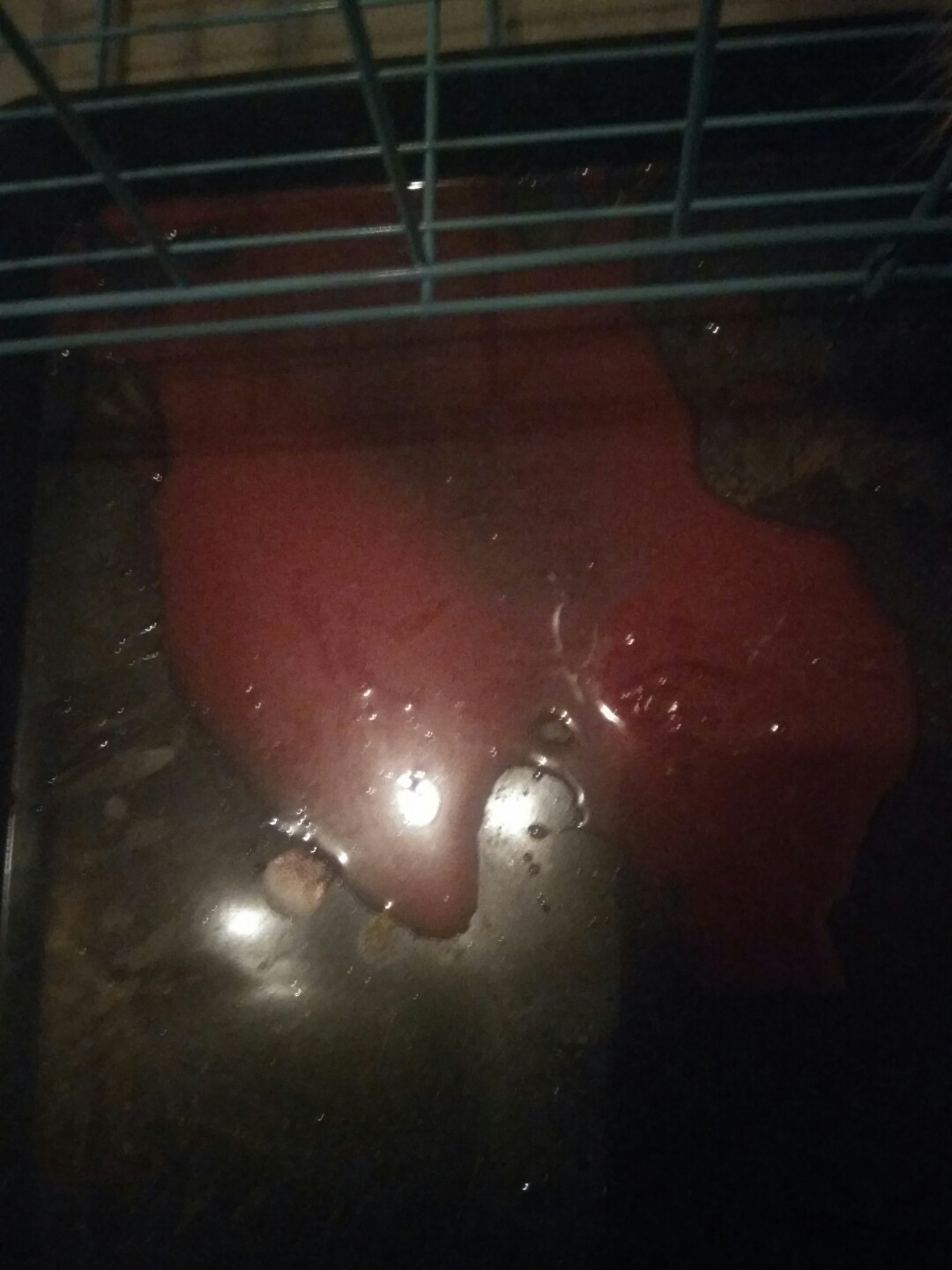 犬细小病毒的诊断与治疗论文,犬细小病毒单克隆抗体