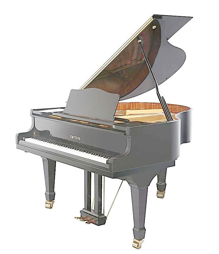 电子琴和电子钢琴的指法,电子琴和电子钢琴音质区别