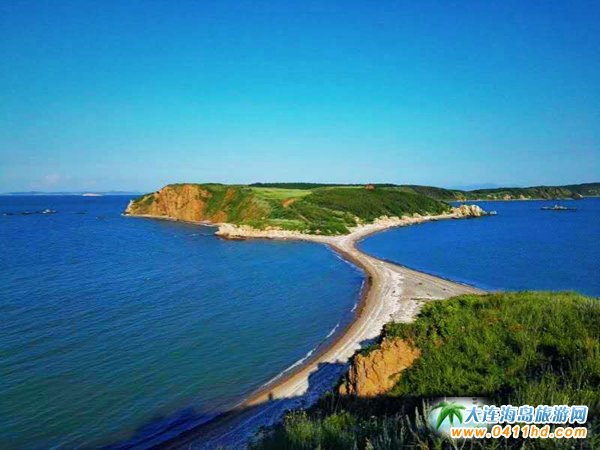 赶海捉海螺贝壳,唐山赶海抓短蛸的地方