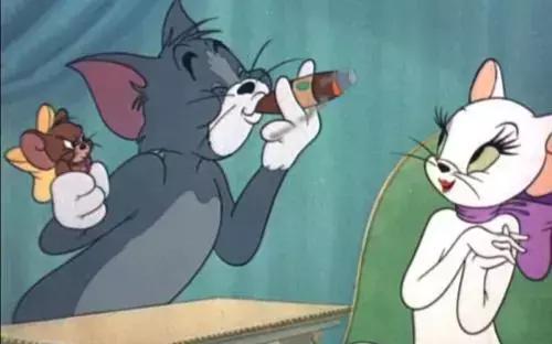 感觉自己养了一只猫是假猫 (你会觉得自己养了一只假猫吗)